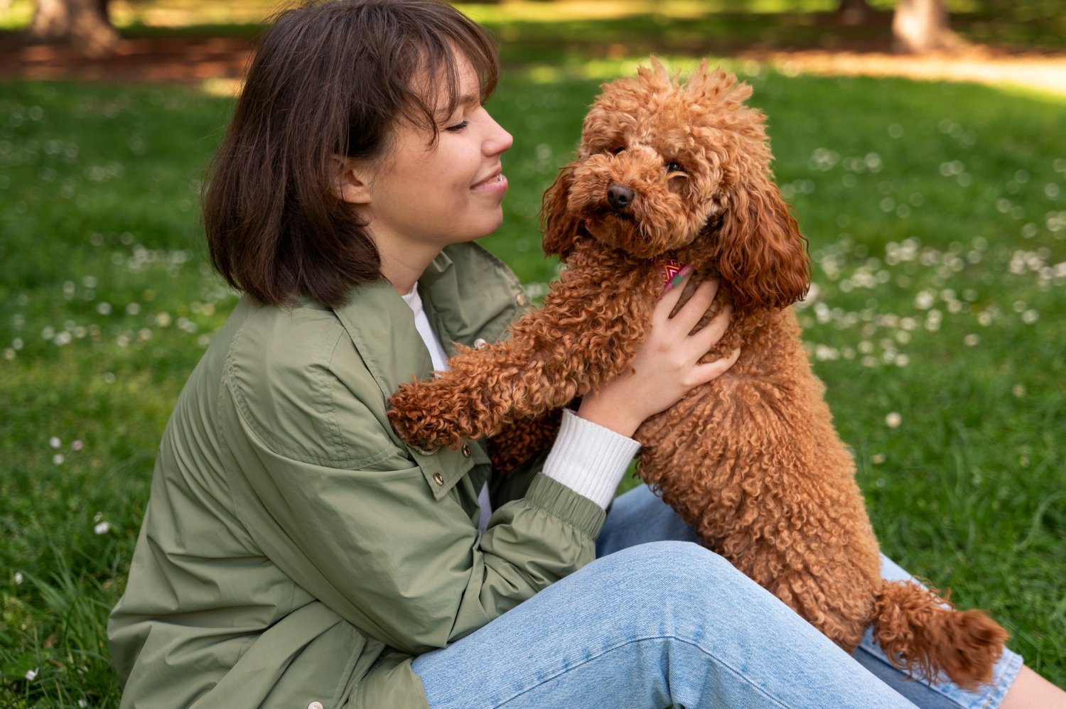 The Complete Book On The Cockapoo, This Compassionate and Smart Pet